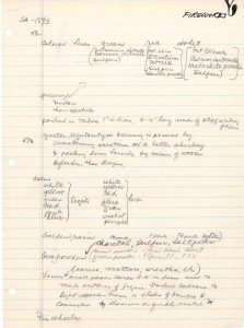 research on fireworks, page 1
